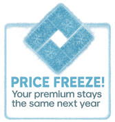 price freeze promo sticker